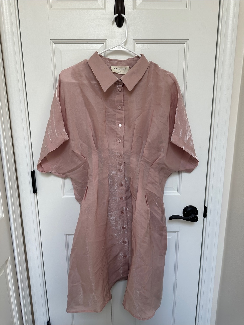 Anthropologie Sheer Button-Front Tunic in Dusty Pink